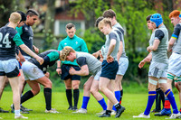 31-03-2019-CGJ25621.JPG