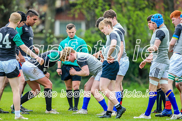 31-03-2019-CGJ25621.JPG