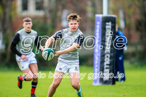 31-03-2019-CGJ25627.JPG