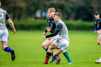 31-03-2019-CGJ25635.JPG