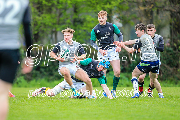 31-03-2019-CGJ25615.JPG