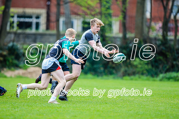 31-03-2019-CGJ25622.JPG