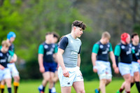 31-03-2019-CGJ25583.JPG