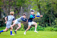 31-03-2019-CGJ25678.JPG