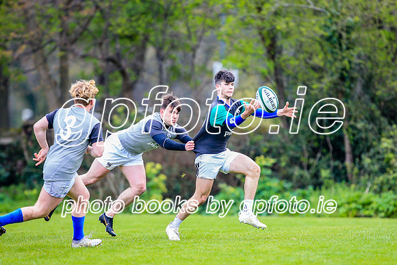 31-03-2019-CGJ25678.JPG