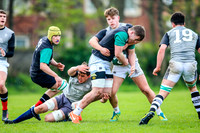 31-03-2019-CGJ25721.JPG