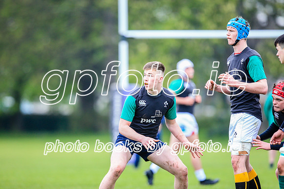 31-03-2019-CGJ25546.JPG
