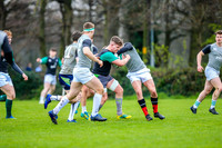 31-03-2019-CGJ25551.JPG