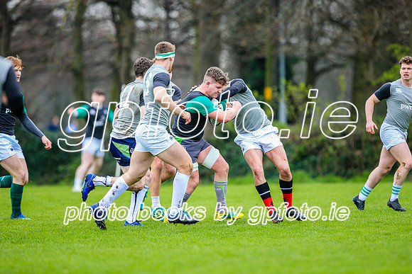 31-03-2019-CGJ25551.JPG