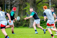 31-03-2019-CGJ25553.JPG