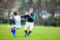 31-03-2019-CGJ25557.JPG