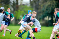31-03-2019-CGJ25560.JPG