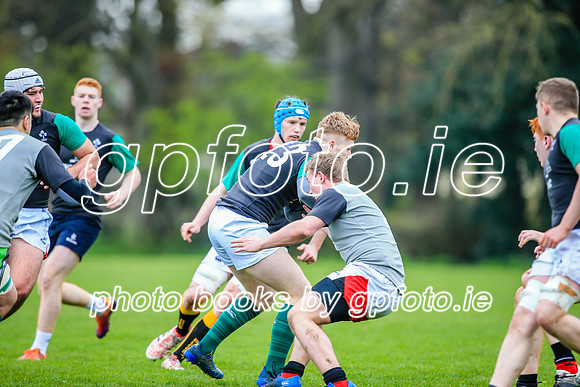 31-03-2019-CGJ25560.JPG
