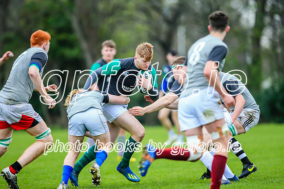 31-03-2019-CGJ25564.JPG