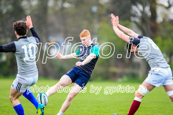 31-03-2019-CGJ25566.JPG