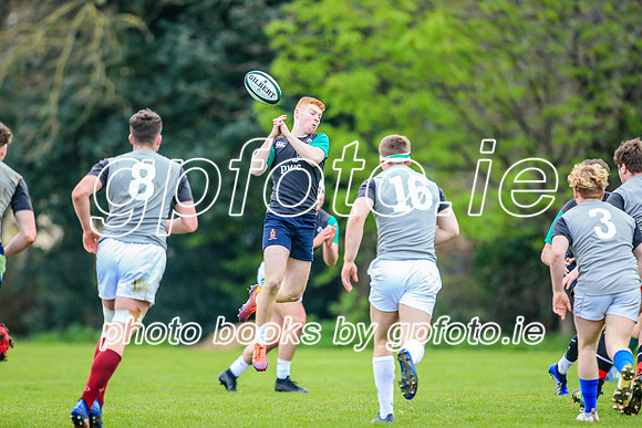 31-03-2019-CGJ25579.JPG