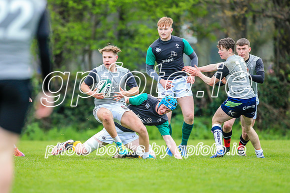 31-03-2019-CGJ25615.JPG