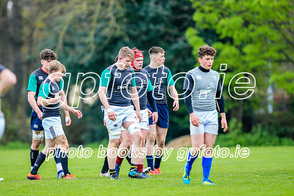 31-03-2019-CGJ25581.JPG