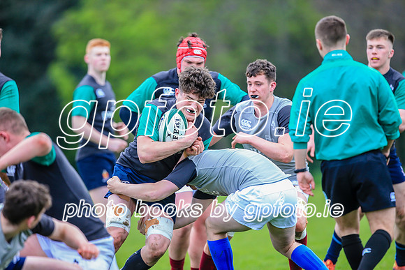 31-03-2019-CGJ25606.JPG