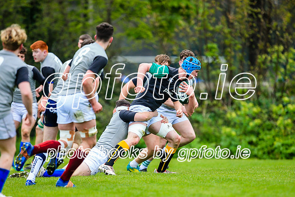 31-03-2019-CGJ25618.JPG