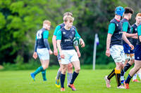 31-03-2019-CGJ25584.JPG