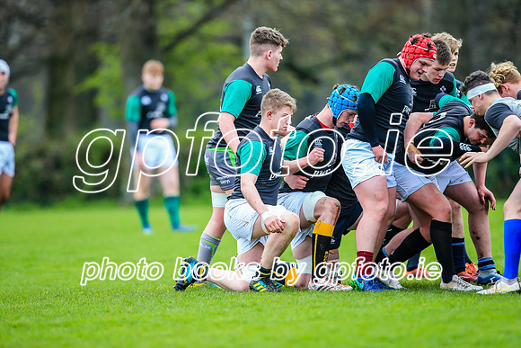 31-03-2019-CGJ25590.JPG