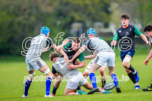 31-03-2019-CGJ25706.JPG