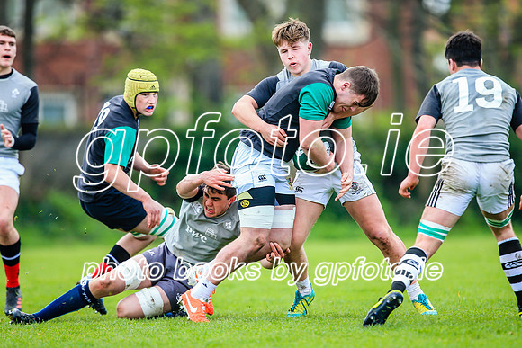 31-03-2019-CGJ25721.JPG