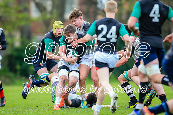 31-03-2019-CGJ25724.JPG