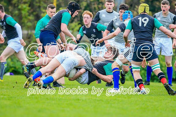 31-03-2019-CGJ25735.JPG