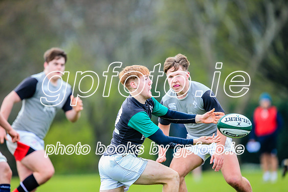 31-03-2019-CGJ25748.JPG