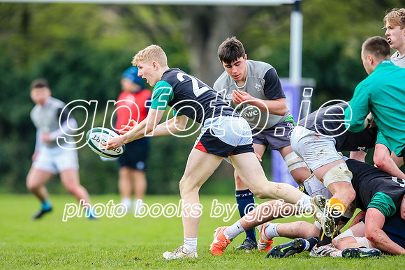 31-03-2019-CGJ25763.JPG