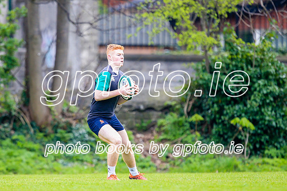 31-03-2019-CGJ25770.JPG