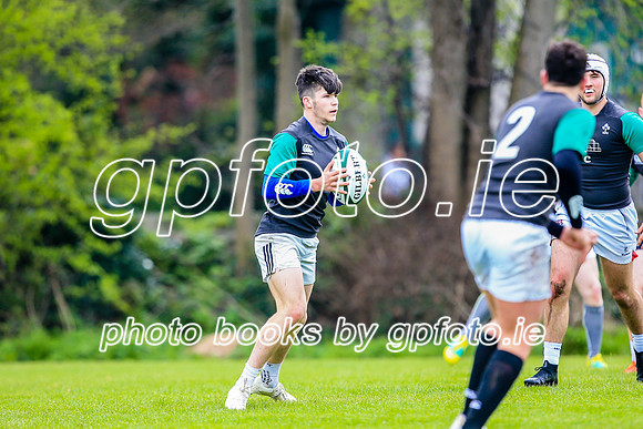 31-03-2019-CGJ25775.JPG