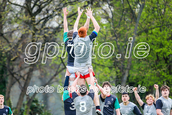 31-03-2019-CGJ25810.JPG