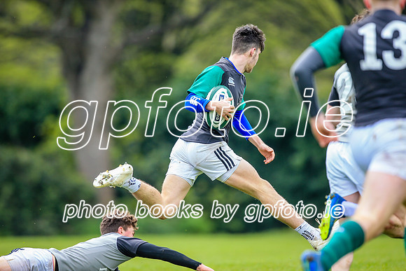 31-03-2019-CGJ25790.JPG