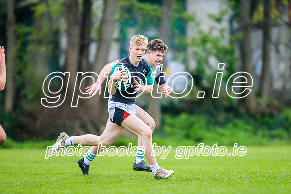 31-03-2019-CGJ25829.JPG