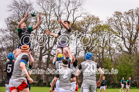 31-03-2019-SWYL0324.JPG
