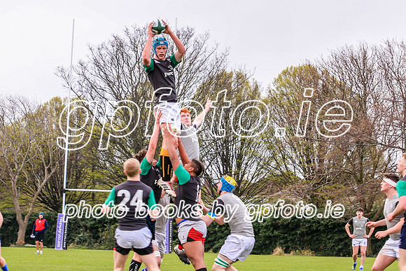 31-03-2019-SWYL0331.JPG