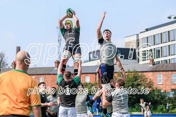 07-04-2019-CGJ26005.JPG