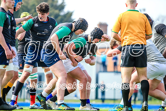 07-04-2019-CGJ26010.JPG
