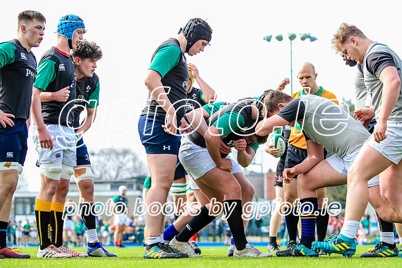 07-04-2019-CGJ26026.JPG