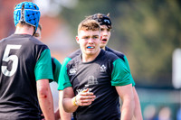 07-04-2019-SWYL0456.JPG