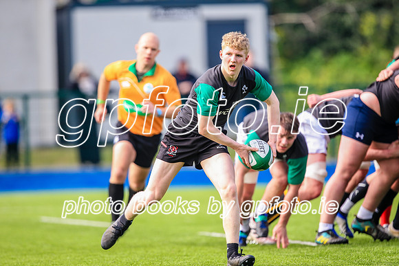 07-04-2019-SWYL0615.JPG