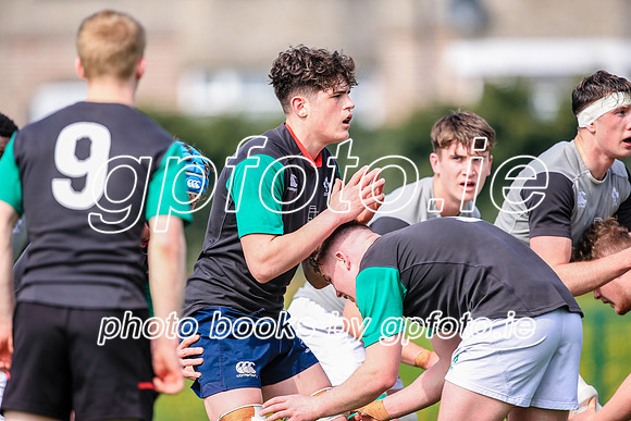 07-04-2019-SWYL0723.JPG