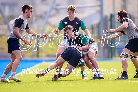 07-04-2019-SWYL0744.JPG