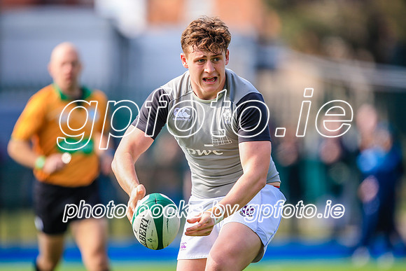 07-04-2019-SWYL0383.JPG
