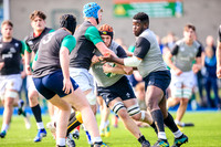 07-04-2019-SWYL0424.JPG