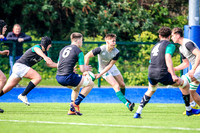 07-04-2019-SWYL0440.JPG