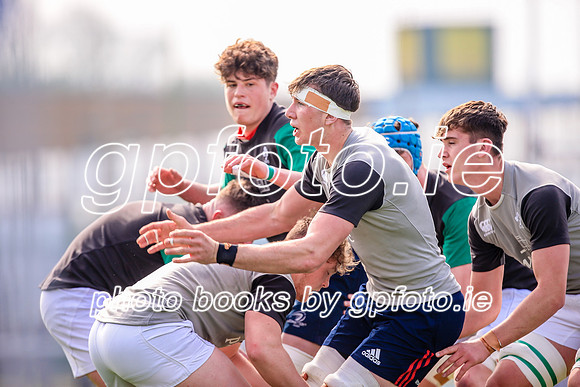 07-04-2019-SWYL0475.JPG